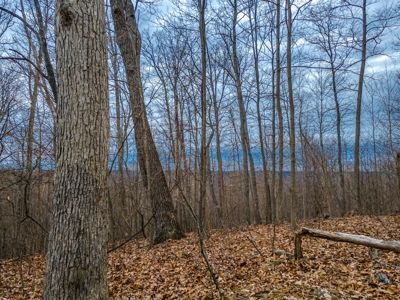 48 acres Prime Hunting with scenic Building Site Peebles OH - image 30