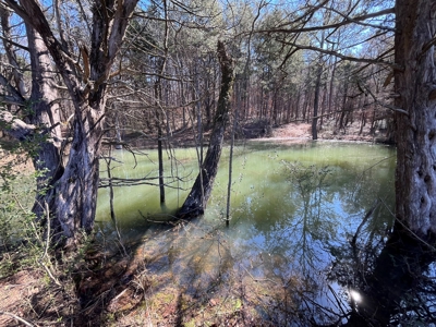 72+ Acre Tennessee Farm Dream - image 40