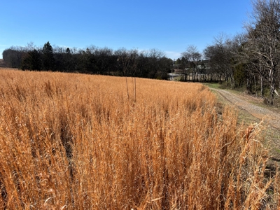 72+ Acre Tennessee Farm Dream - image 30