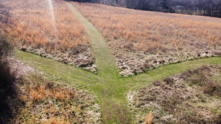 72+ Acre Tennessee Farm Dream - image 9