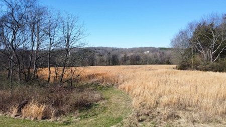 72+ Acre Tennessee Farm Dream - image 22