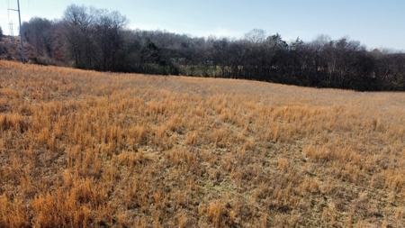 72+ Acre Tennessee Farm Dream - image 8