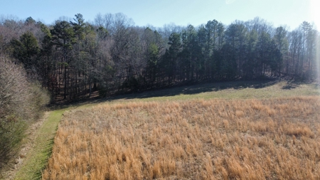 72+ Acre Tennessee Farm Dream - image 7