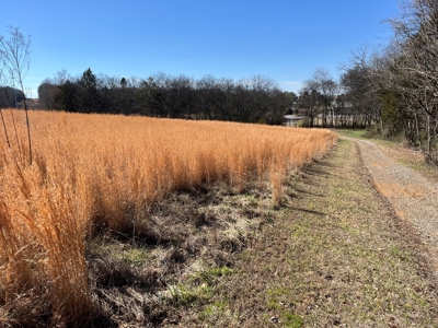 72+ Acre Tennessee Farm Dream - image 31