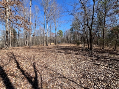 72+ Acre Tennessee Farm Dream - image 43