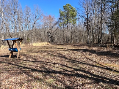 72+ Acre Tennessee Farm Dream - image 45