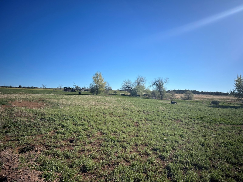 Blue Sky Homes and Land Mancos CO