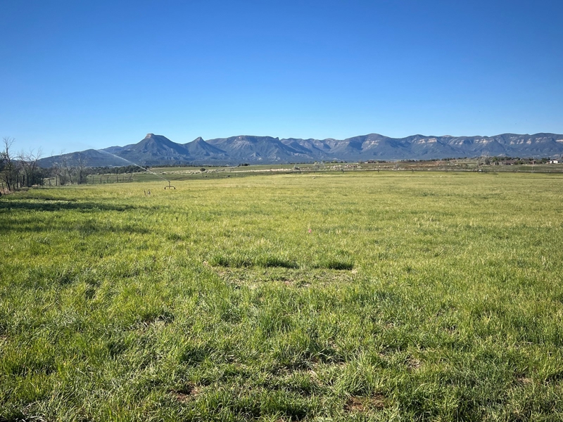 Mancos Colorado Land for Sale