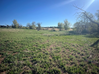 Acreage For Sale in Mancos, CO - image 2