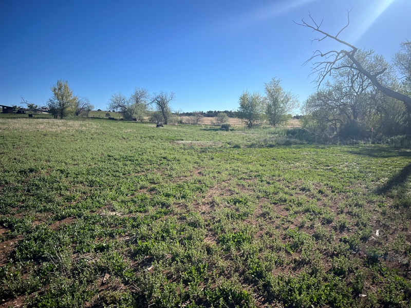 Bill Stanley Blue Sky Homes and Land