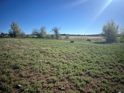 Acreage For Sale in Mancos, CO - image 4
