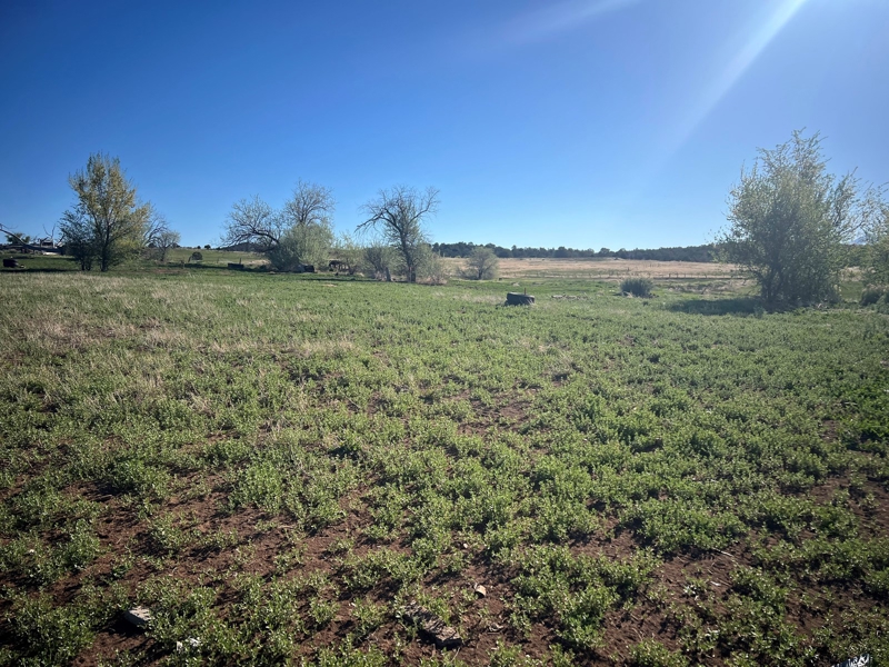 Colorado land for sale