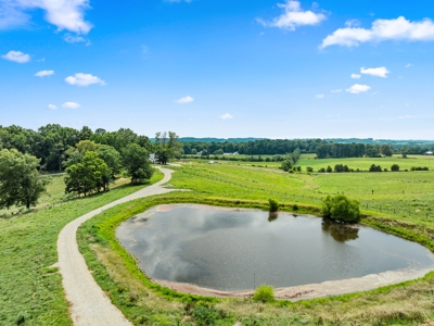 A Quiet Country Escape - Campbellsville Kentucky - image 8