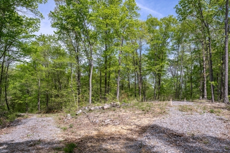 Get away from the world on your own 65.62 Acres! - image 30