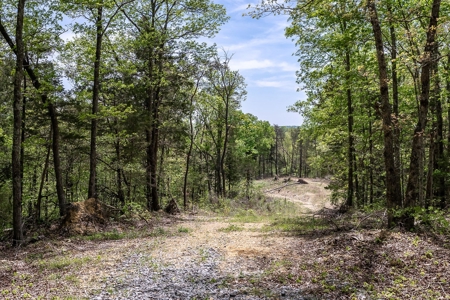 Get away from the world on your own 65.62 Acres! - image 32