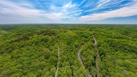 Get away from the world on your own 65.62 Acres! - image 12