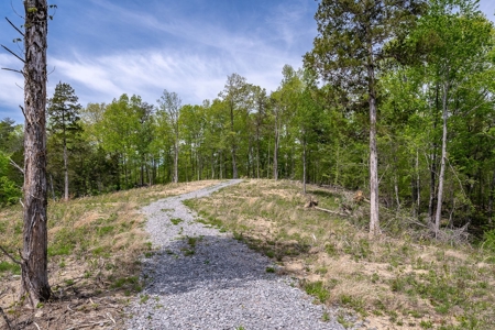 Get away from the world on your own 65.62 Acres! - image 34
