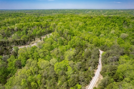Get away from the world on your own 65.62 Acres! - image 21