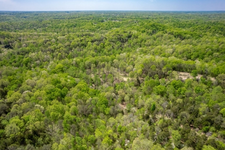 Get away from the world on your own 65.62 Acres! - image 20