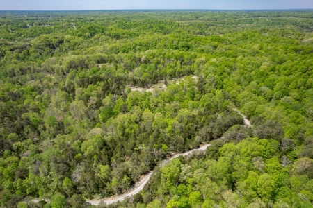 Get away from the world on your own 65.62 Acres! - image 1