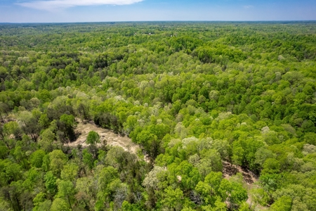 Get away from the world on your own 65.62 Acres! - image 10
