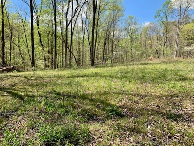Get away from the world on your own 65.62 Acres! - image 48