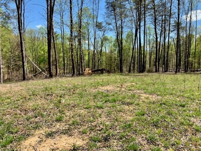 Get away from the world on your own 65.62 Acres! - image 47