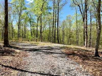 Get away from the world on your own 65.62 Acres! - image 41