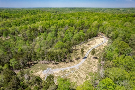 Get away from the world on your own 65.62 Acres! - image 6