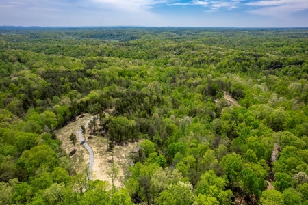 Get away from the world on your own 65.62 Acres! - image 9