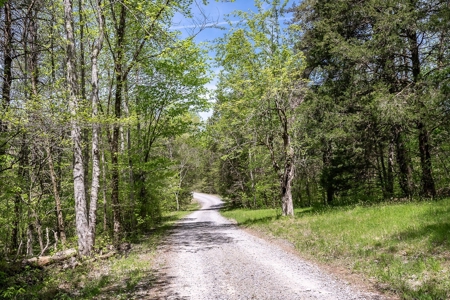 Get away from the world on your own 65.62 Acres! - image 29