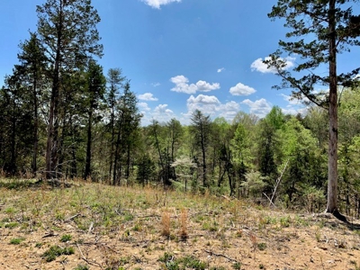 Get away from the world on your own 65.62 Acres! - image 39