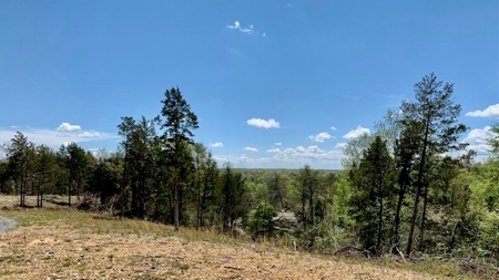 Get away from the world on your own 65.62 Acres! - image 35