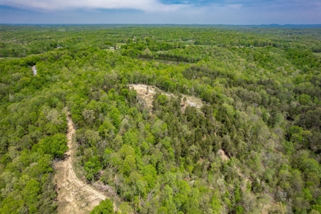 Get away from the world on your own 65.62 Acres! - image 19