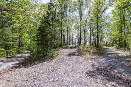 Get away from the world on your own 65.62 Acres! - image 27