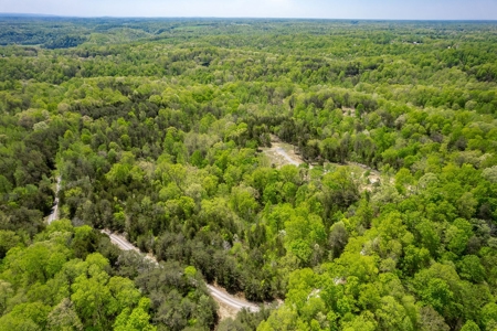 Get away from the world on your own 65.62 Acres! - image 4