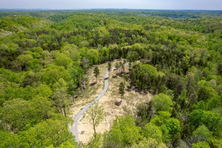 Get away from the world on your own 65.62 Acres! - image 7