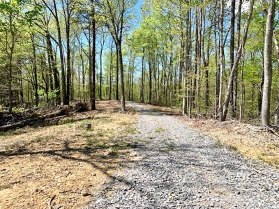 Get away from the world on your own 65.62 Acres! - image 40
