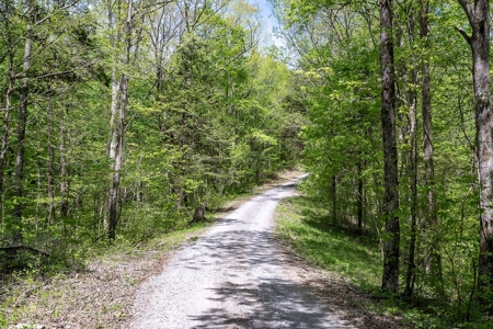 Get away from the world on your own 65.62 Acres! - image 25