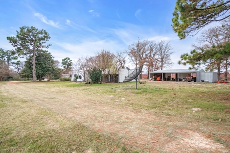 Blueberry Farm With Acreage For Sale In Henderson County - image 13