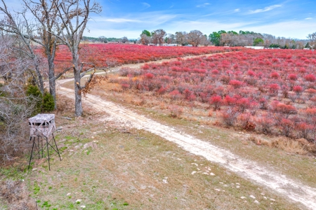Blueberry Farm With Acreage For Sale In Henderson County - image 30
