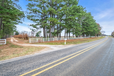 Blueberry Farm With Acreage For Sale In Henderson County - image 27