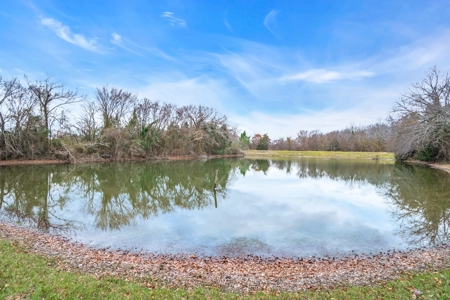 Blueberry Farm With Acreage For Sale In Henderson County - image 5