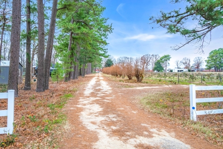 Blueberry Farm With Acreage For Sale In Henderson County - image 28