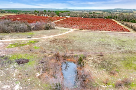 Blueberry Farm With Acreage For Sale In Henderson County - image 23