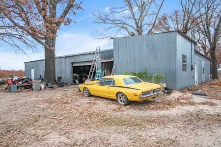 Blueberry Farm With Acreage For Sale In Henderson County - image 3