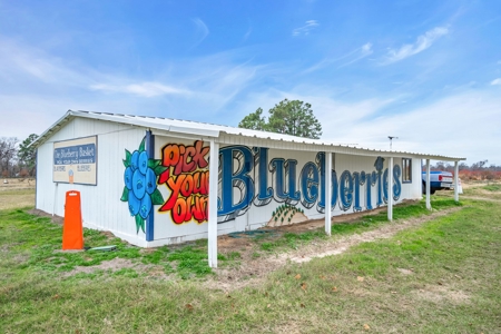 Blueberry Farm With Acreage For Sale In Henderson County - image 15