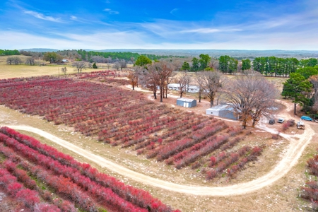 Blueberry Farm With Acreage For Sale In Henderson County - image 25
