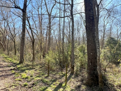 37 East Texas Acres - Leesburg Camp County - Creek - 2 Ponds - image 22