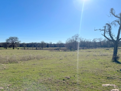 37 East Texas Acres - Leesburg Camp County - Creek - 2 Ponds - image 11